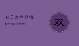 双子女今日运势2024，双子座·2024日运指南