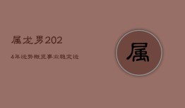 属龙男2024年运势概览：事业稳定，运势平稳