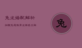 兔龙婚配解析：细腻兔遇傲骨龙，情感交融的奥秘