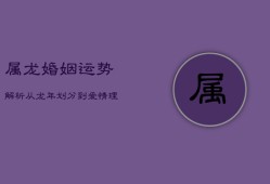 属龙婚姻运势解析：从龙年划分到爱情理念深度解读