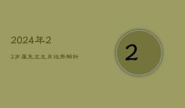 《2024年22岁属兔龙生肖运势解析》