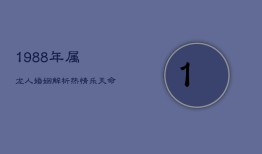 1988年属龙人婚姻解析：热情乐天，命运何如？