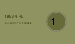 1988年属龙人：农历3月出生，福禄上等命，才智兼备贵人多